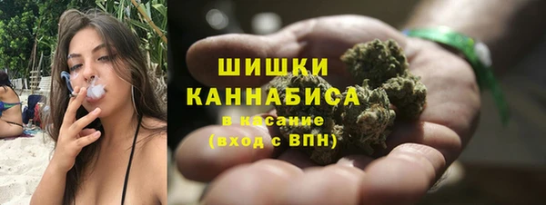 молекула духа Верхний Тагил