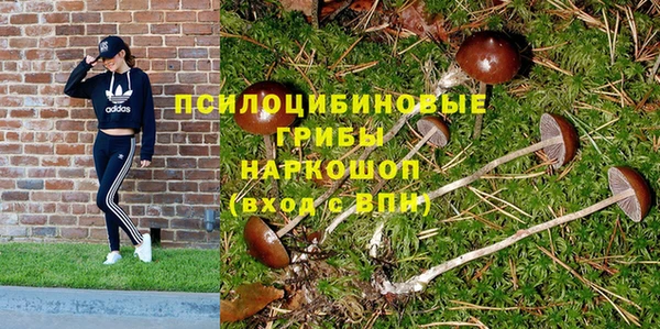 хмурый Бронницы